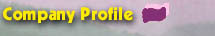 Company Profile